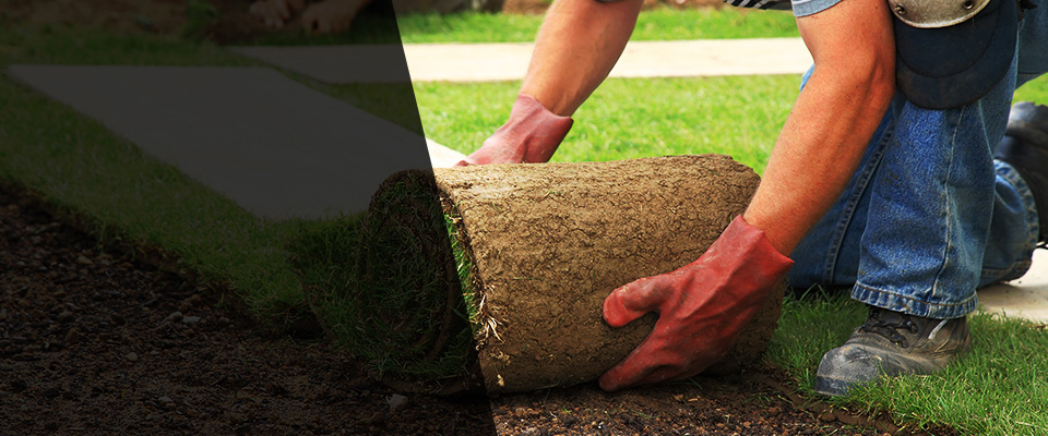 Sebastian Landscapers